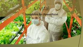  Presentation with vertical farm - Presentation theme consisting of above-view-of-confident-young background and a gold colored foreground