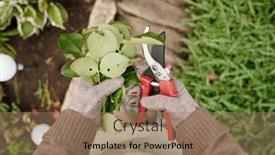  Presentation with hands down - Presentation theme with above-view-of-gloved-hands background and a coral colored foreground