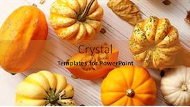  Presentation with orange - Colorful presentation design enhanced with above view of orange ripe pumpkins laid in mess on white wooden background backdrop and a gold colored foreground