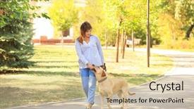  Presentation with dog park - Beautiful slides featuring abred - mature woman walking her dog backdrop and a soft green colored foreground