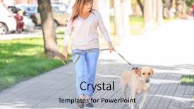  Presentation with dog park - Theme enhanced with abred - mature woman walking her dog background and a light blue colored foreground