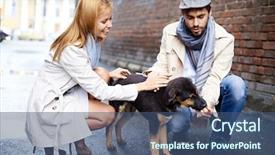  Presentation with dog feeds - Amazing slides having abred - portrait of happy young couple backdrop and a ocean colored foreground