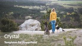  Presentation with sad dog abandoned dogs - PPT theme featuring abred - woman and her dogs posing background and a gray colored foreground