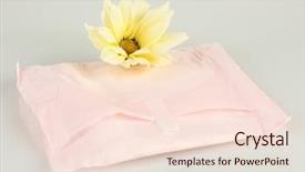  Presentation with individual award - Beautiful slides featuring abrorption - panty liner in individual packing backdrop and a lemonade colored foreground