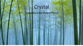  Presentation with bamboo - Colorful presentation design enhanced with abstract - bamboo forest in mist natural backdrop and a light blue colored foreground