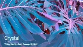  Presentation with tropical forest - Beautiful presentation design featuring abstract - forest with tropical monstera plants backdrop and a ocean colored foreground