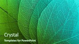  Presentation with abstract leaves - PPT theme consisting of abstract - macro leaves background texture background and a forest green colored foreground