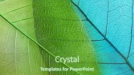  Presentation with abstract leaves - PPT theme featuring abstract - macro leaves background texture background and a tawny brown colored foreground