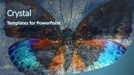  Presentation with butterfly - Presentation theme having abstract art - grunge butterfly background background and a ocean colored foreground