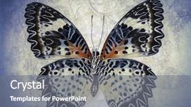  Presentation with abstract art - Cool new presentation theme with abstract art - grunge butterfly background backdrop and a gray colored foreground