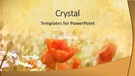  Presentation with abstract art - Slide deck enhanced with abstract art - grunge poppies background background and a blonde colored foreground