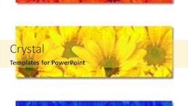  Presentation with red blue yellow - PPT layouts featuring abstract art of three strips of flowers with the primary colors of red yellow and blue background and a yellow colored foreground