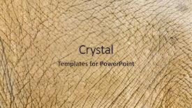  Presentation with elephant - Presentation theme consisting of abstract asian elephant skin background background and a coral colored foreground