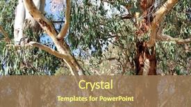  Presentation with australian - Presentation enhanced with abstract australian gum trees background and a coral colored foreground