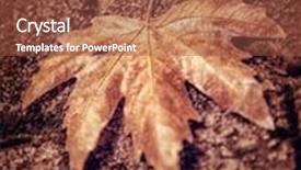  Presentation with fall abstract - Slide deck consisting of abstract autumn background grunge style photo of dry maple leaf on brown brick wall detail of fall nature weather change concept background and a tawny brown colored foreground