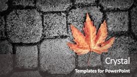  Presentation with fall abstract - Colorful theme enhanced with close up brown asphalt - abstract autumn background grunge style backdrop and a dark gray colored foreground