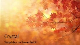  Presentation with blur - Presentation theme having abstract autumn forest blur background background and a gold colored foreground