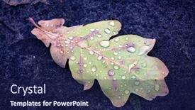  Presentation with abstract water drops - Slide deck enhanced with abstract-autumn-oak-leaf background and a navy blue colored foreground