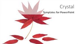  Presentation with abstract leaves - Presentation theme consisting of abstract-autumn-staghorn-sumac-leaves and a white colored foreground