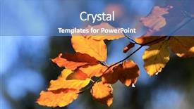  Presentation with abstract hi tech - Cool new slide deck with abstract autumn twig in nice backdrop and a teal colored foreground