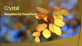  Presentation with dry - Colorful presentation design enhanced with abstract autumn twig with dry backdrop and a tawny brown colored foreground