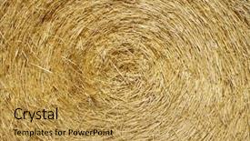  Presentation with straw bale - Audience pleasing slide deck consisting of abstract background created by a round bale of straw backdrop and a gold colored foreground
