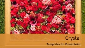  Presentation with rose flower - Beautiful slide set featuring abstract background of flowers close backdrop and a gold colored foreground