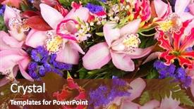  Presentation with pattern - Slide set with abstract background flowers nature pattern background and a  colored foreground