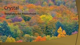  Presentation with forest - Audience pleasing slide set consisting of abstract background from stowe vermont backdrop and a  colored foreground