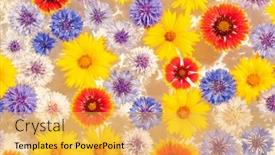  Presentation with floating - Beautiful slides featuring abstract background image of colorful flowers floating in water backdrop and a yellow colored foreground