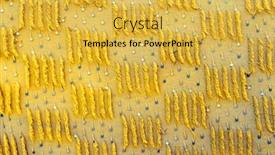  Presentation with carpet - Amazing PPT theme having abstract-background-of-a-berber backdrop and a yellow colored foreground