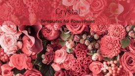  Presentation with abstract - Presentation theme enhanced with abstract-background-of-flowers-close background and a red colored foreground