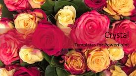  Presentation with abstract - Slide set featuring abstract background of flowers close background and a crimson colored foreground