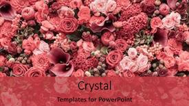  Presentation with abstract close up soap bubble - Slide set featuring abstract background of flowers close background and a red colored foreground