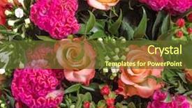  Presentation with abstract - Presentation theme having abstract-background-of-flowers background and a  colored foreground