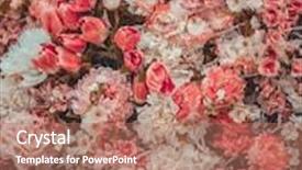  Presentation with abstract - Amazing theme having abstract-background-of-flowers backdrop and a coral colored foreground