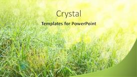  Presentation with abstract spring green - Slide set enhanced with abstract-background-of-fresh-green background and a blonde colored foreground