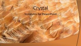  Presentation with abstract gardens - Presentation enhanced with abstract background of hen feathers background and a yellow colored foreground