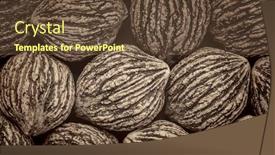  Presentation with shells - PPT layouts having abstract-background-of-organic-black background and a tawny brown colored foreground