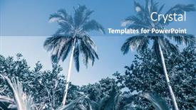  Presentation with summer trees - Slide set with abstract-background-of-vibrant-palm background and a teal colored foreground