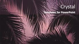  Presentation with summer trees - Presentation theme with abstract-background-of-vibrant-palm background and a tawny brown colored foreground