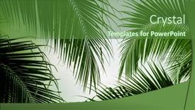  Presentation with summer trees - Colorful slides enhanced with abstract-background-of-vibrant-palm backdrop and a tawny brown colored foreground