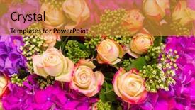  Presentation with abstract close up soap bubble - PPT theme enhanced with abstract background texture of flowers background and a  colored foreground