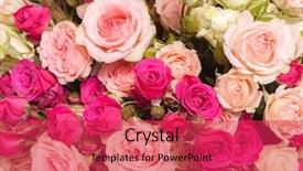  Presentation with texture - Audience pleasing PPT theme consisting of abstract background texture of flowers backdrop and a red colored foreground