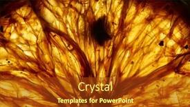  Presentation with orange slice - Presentation theme consisting of abstract-backlit-dried-orange-slice background and a tawny brown colored foreground