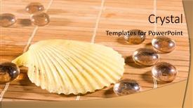  Presentation with bamboo cartoon - Audience pleasing PPT layouts consisting of abstract backrounds - bamboo straws background backdrop and a coral colored foreground