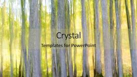  Presentation with jungle - Theme with abstract beech forest scene in autumn irati jungle pyrenees navarra spain background and a yellow colored foreground