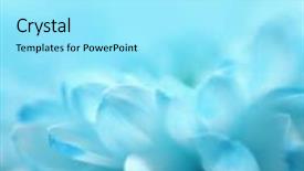  Presentation with baby spa - Audience pleasing presentation theme consisting of abstract blue bokeh - soft focus flower background backdrop and a arctic colored foreground