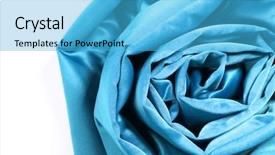  Presentation with silk industry - Amazing presentation theme having abstract blue rose silk large backdrop and a light blue colored foreground