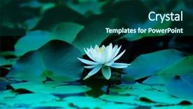  Presentation with lotus flower - Amazing slide set having abstract bluish - lotus flower blooming backdrop and a ocean colored foreground